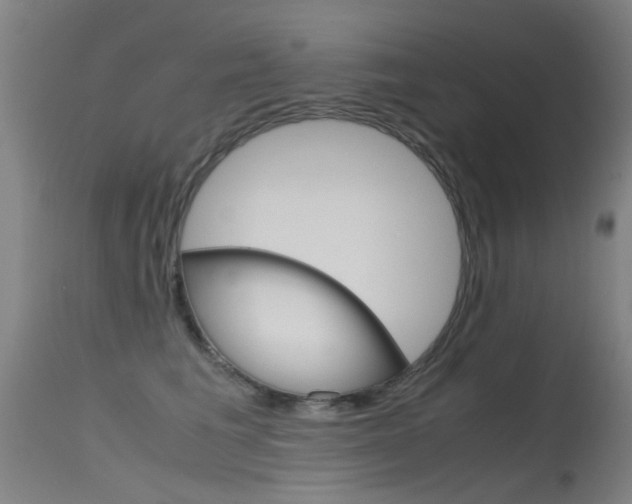 X0000115720613200911121104