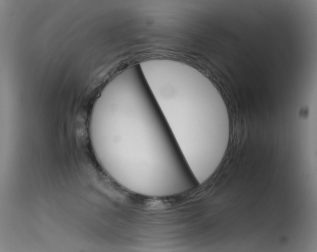 X0000115720616200911121104