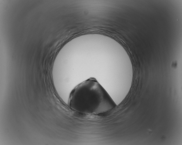X0000115720617200911121104