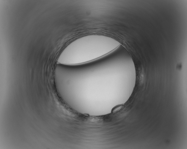 X0000115720619200911121104