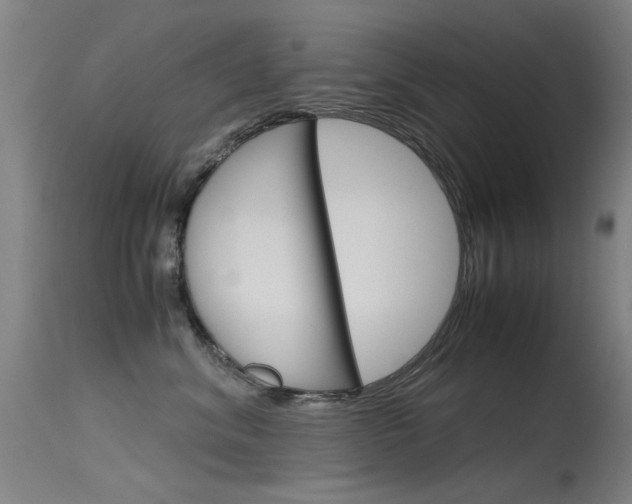 X0000115720620200911121104