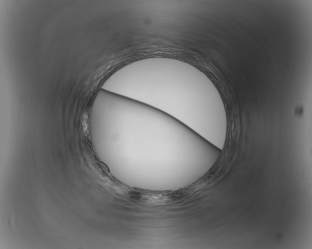 X0000115720621200911121104