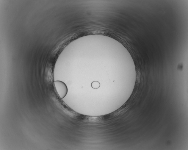 X0000115720622200911121104