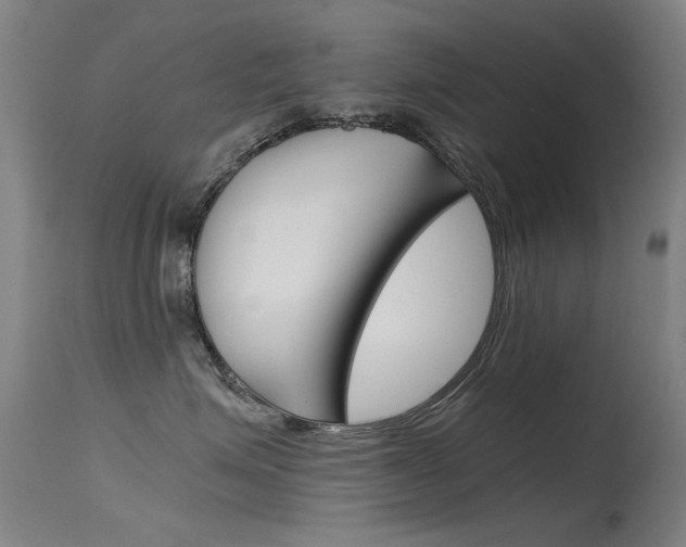 X0000115720623200911121104