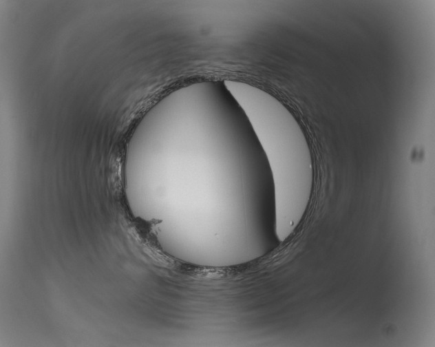 X0000115720624200911121104