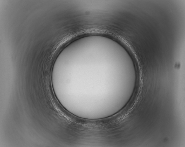 X0000115720625200911121103