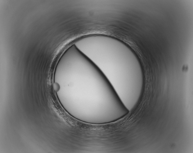 X0000115720628200911121103
