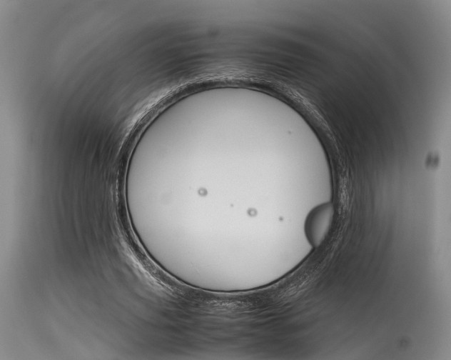 X0000115720629200911121103
