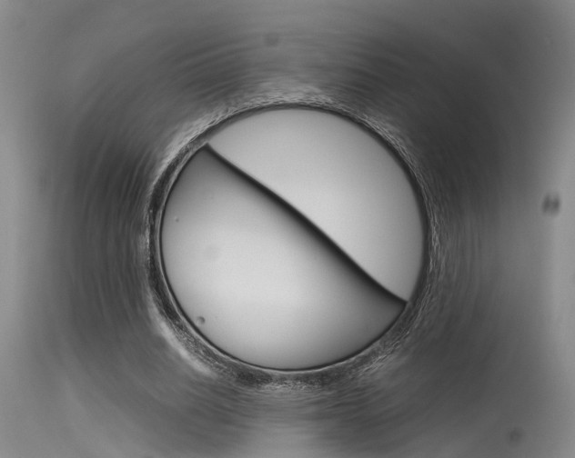 X0000115720630200911121103
