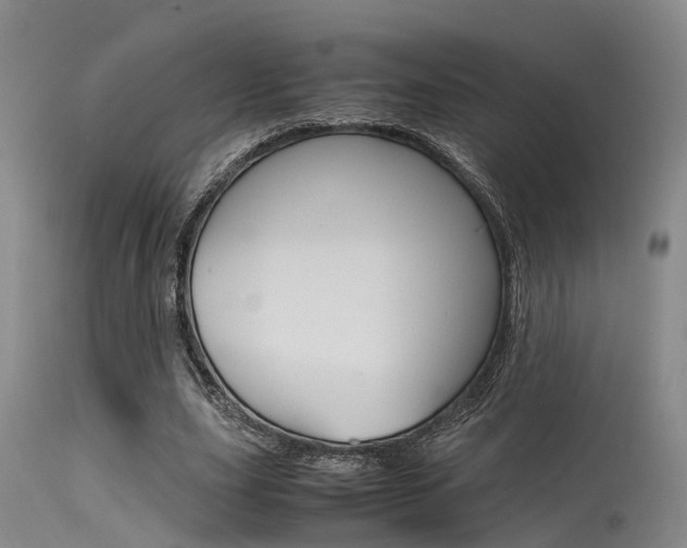 X0000115720631200911121103