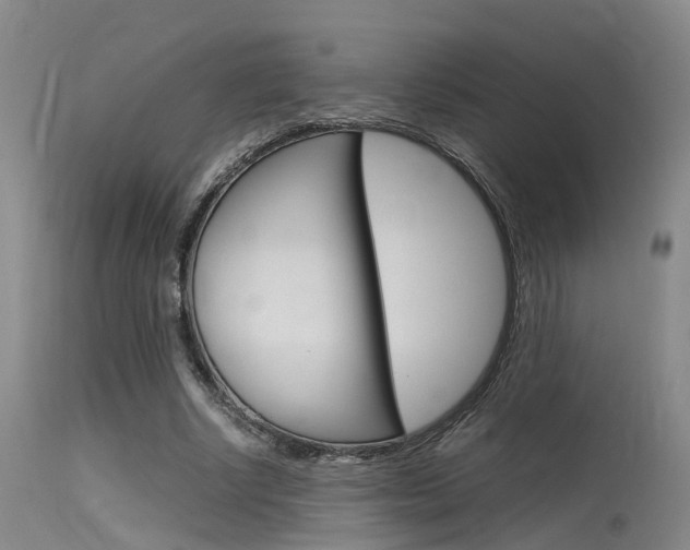 X0000115720634200911121103