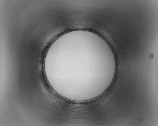 X0000115720635200911121103