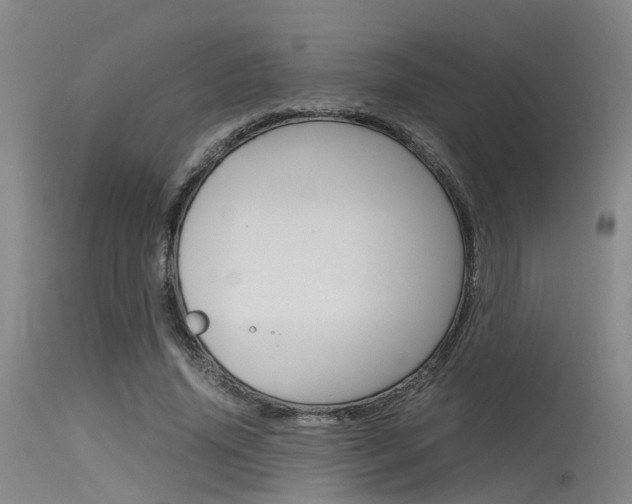 X0000115720636200911121103