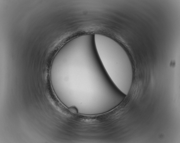 X0000115720637200911121103