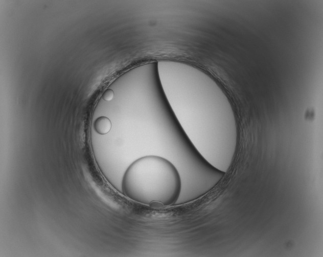 X0000115720638200911121103