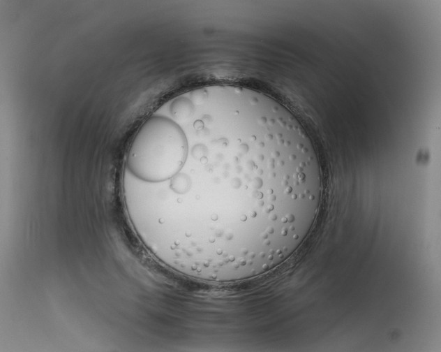 X0000115720639200911121103
