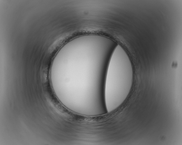 X0000115720640200911121103