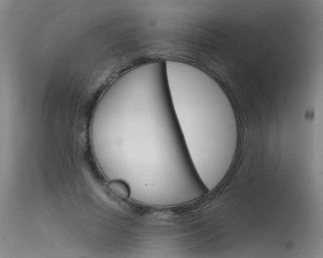 X0000115720642200911121103