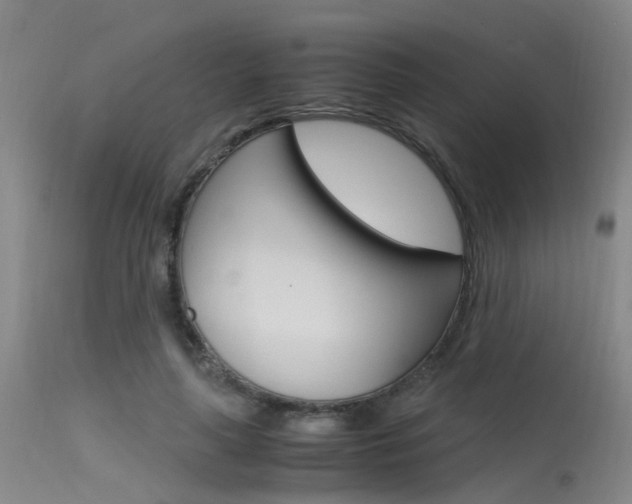 X0000115720643200911121104