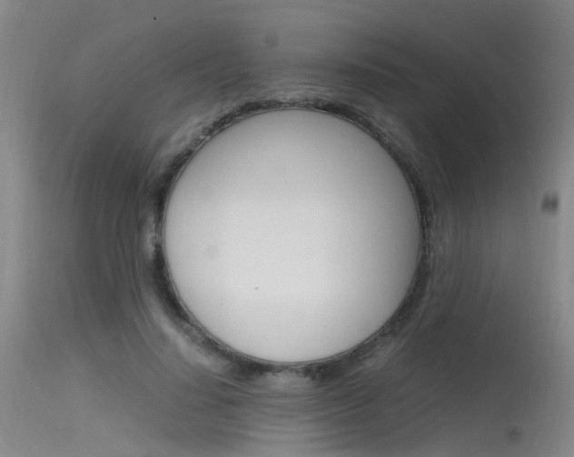 X0000115720644200911121104