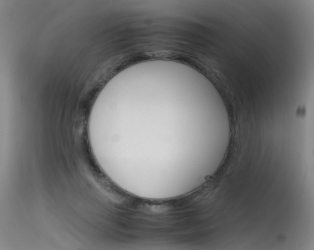 X0000115720645200911121104
