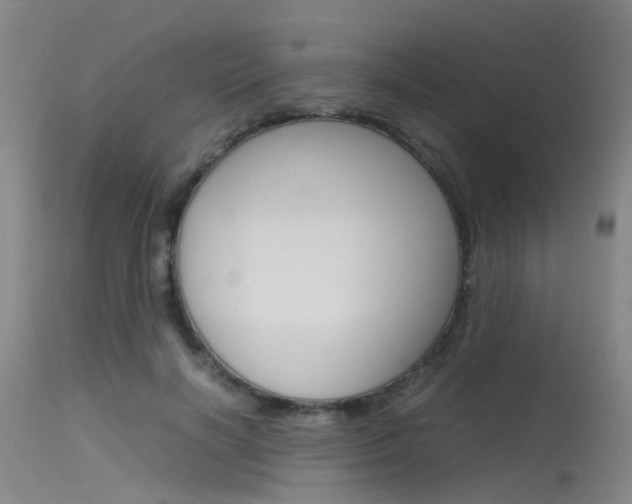 X0000115720646200911121104