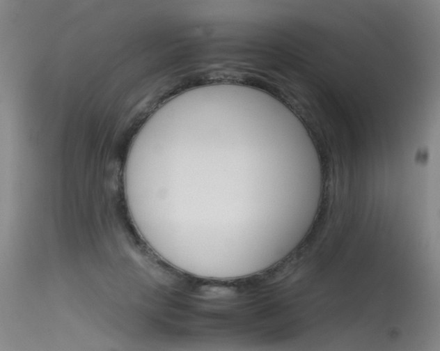 X0000115720649200911121104