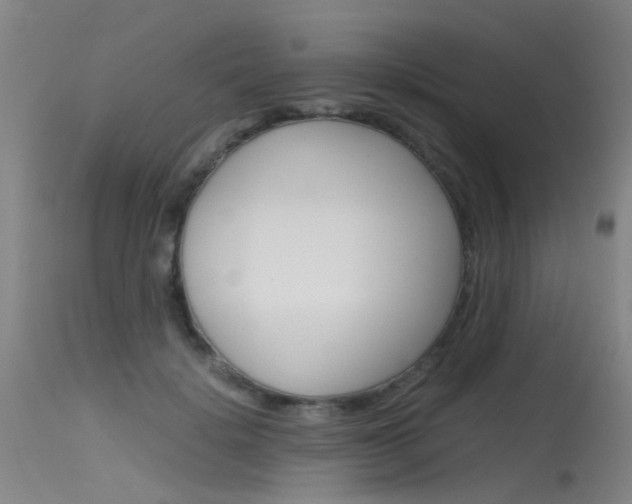 X0000115720652200911121104