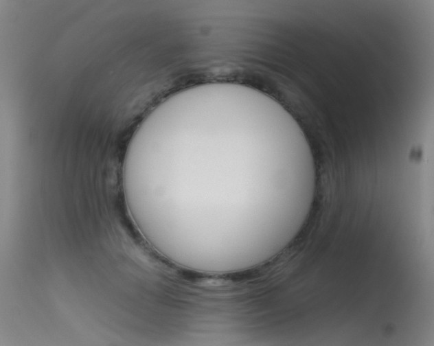 X0000115720654200911121104