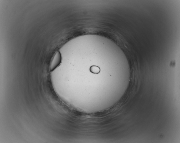 X0000115720655200911121104