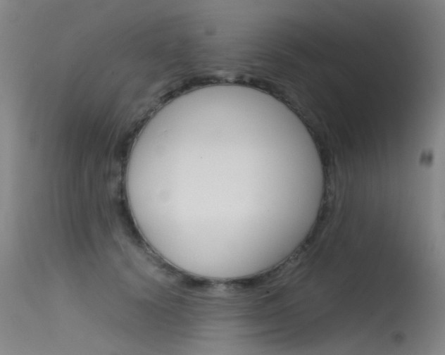 X0000115720656200911121104