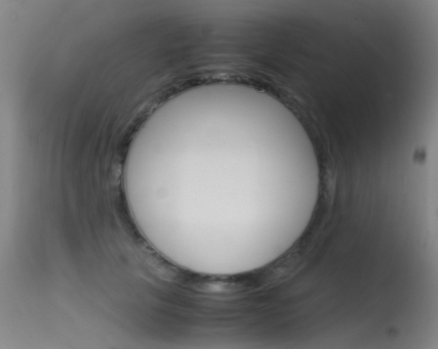 X0000115720657200911121104