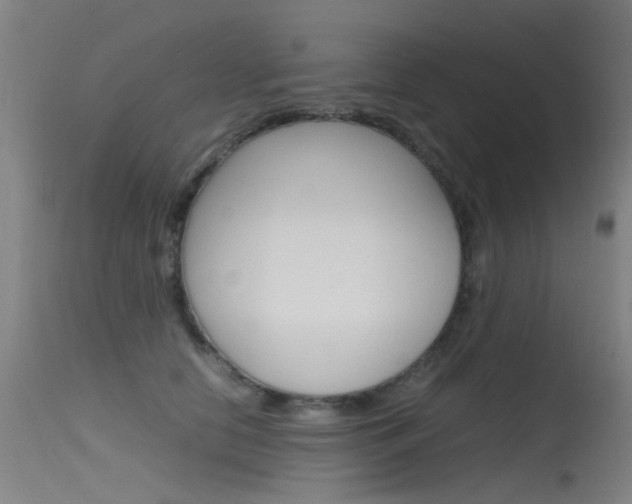 X0000115720658200911121104