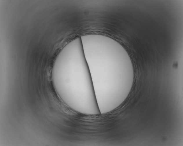 X0000115720661200911121104