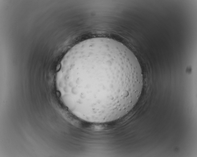 X0000115720662200911121104