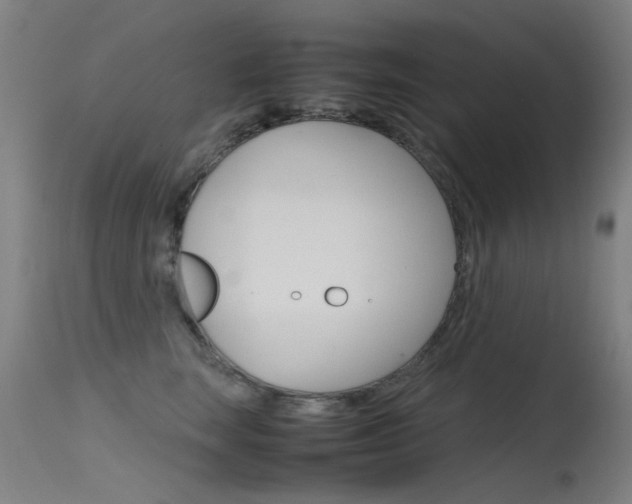 X0000115720663200911121104