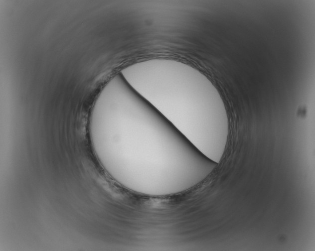 X0000115720664200911121104