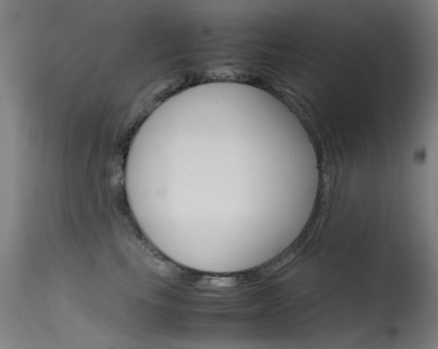 X0000115720665200911121104
