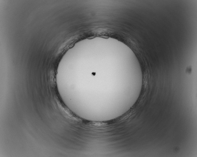 X0000115720670200911121104