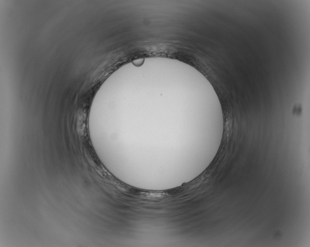 X0000115720671200911121104