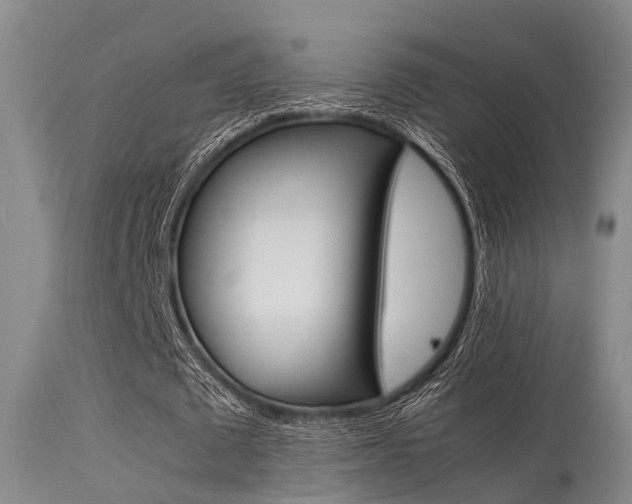 X0000115720673200911121103