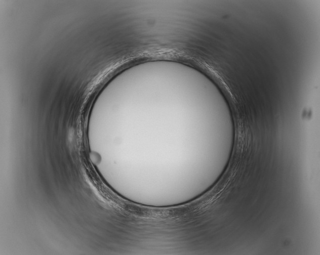 X0000115720674200911121103