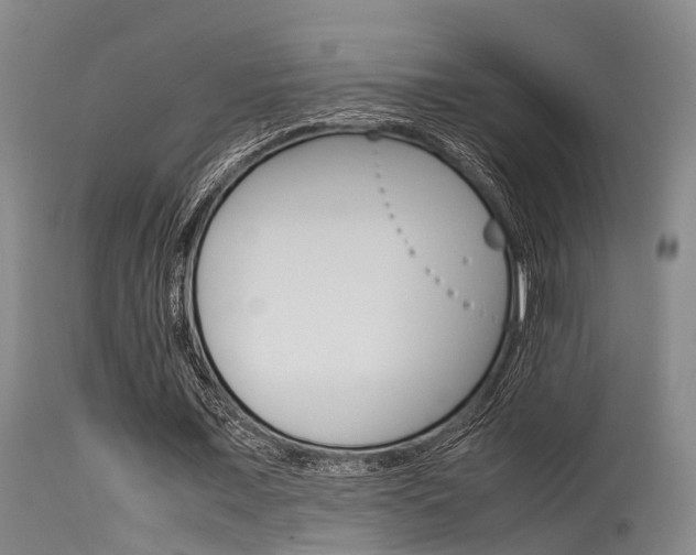 X0000115720675200911121103