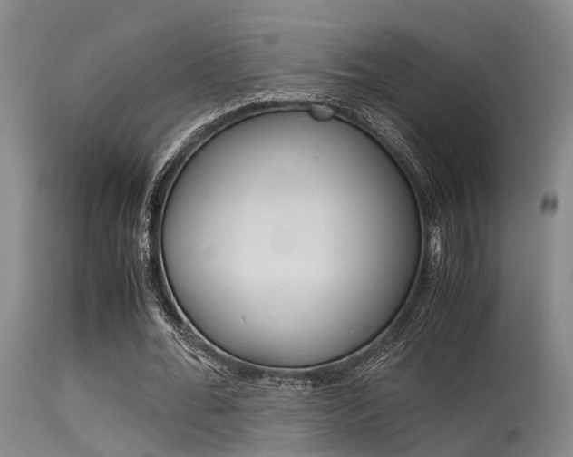 X0000115720676200911121103