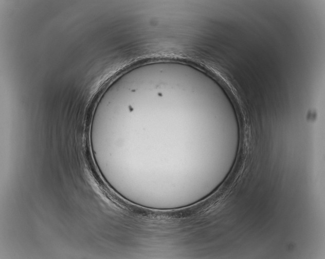 X0000115720677200911121103