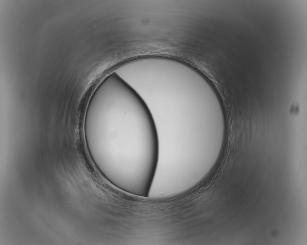 X0000115720679200911121103