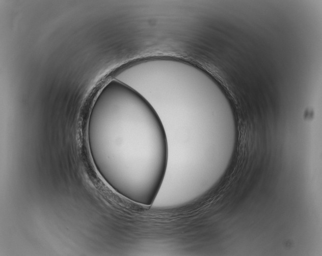X0000115720680200911121103