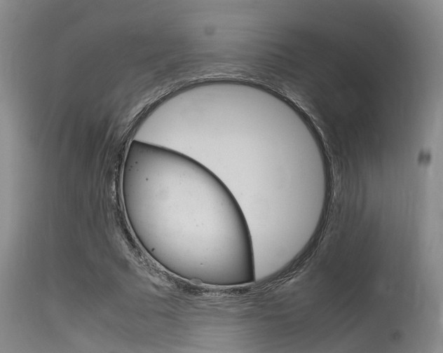 X0000115720681200911121103