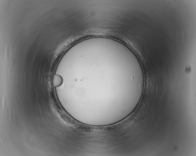 X0000115720682200911121103