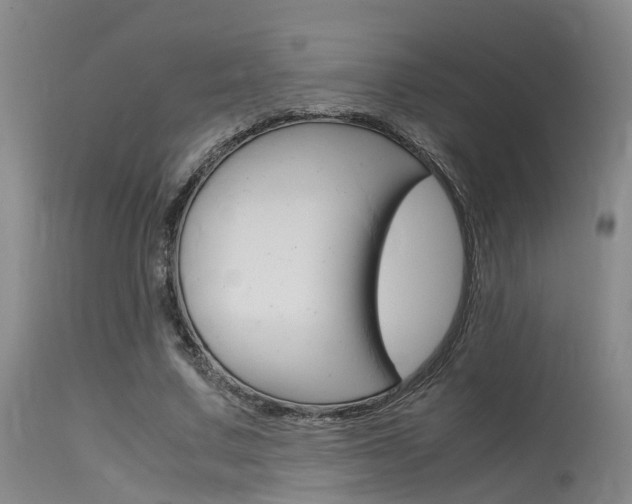 X0000115720683200911121103